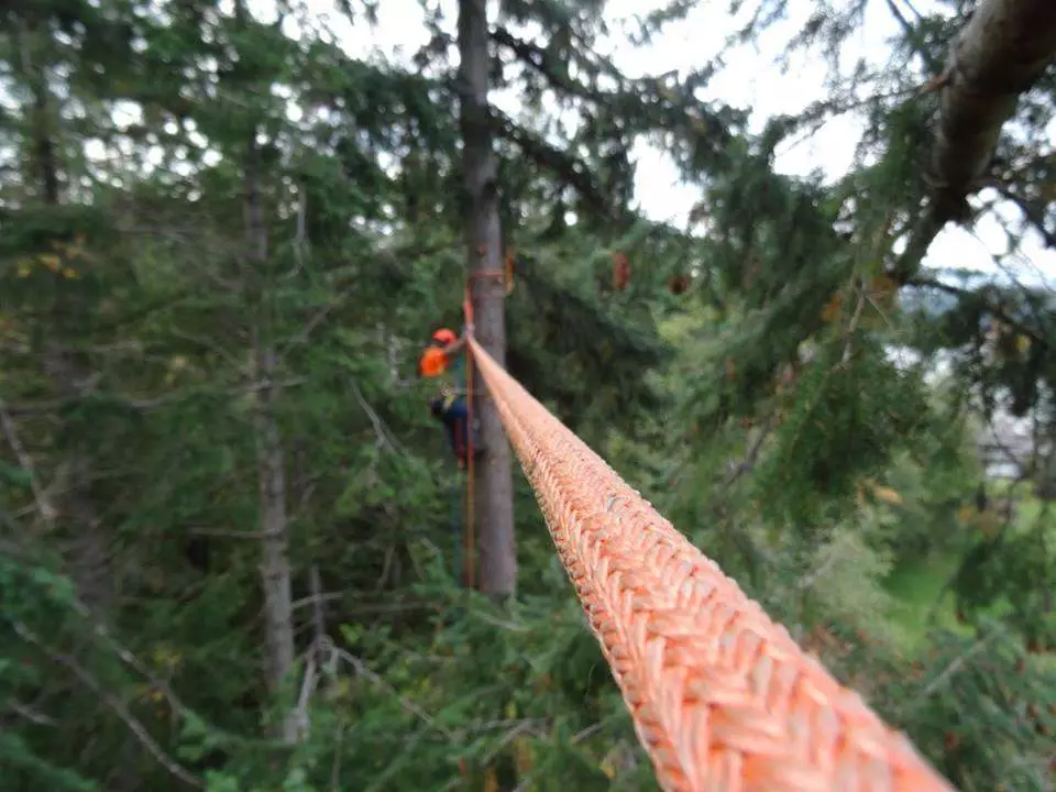 Clipping Into the Skyline Setup For Tree Services in Comox Valley